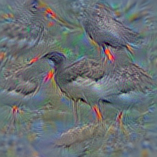 n02033041 dowitcher
